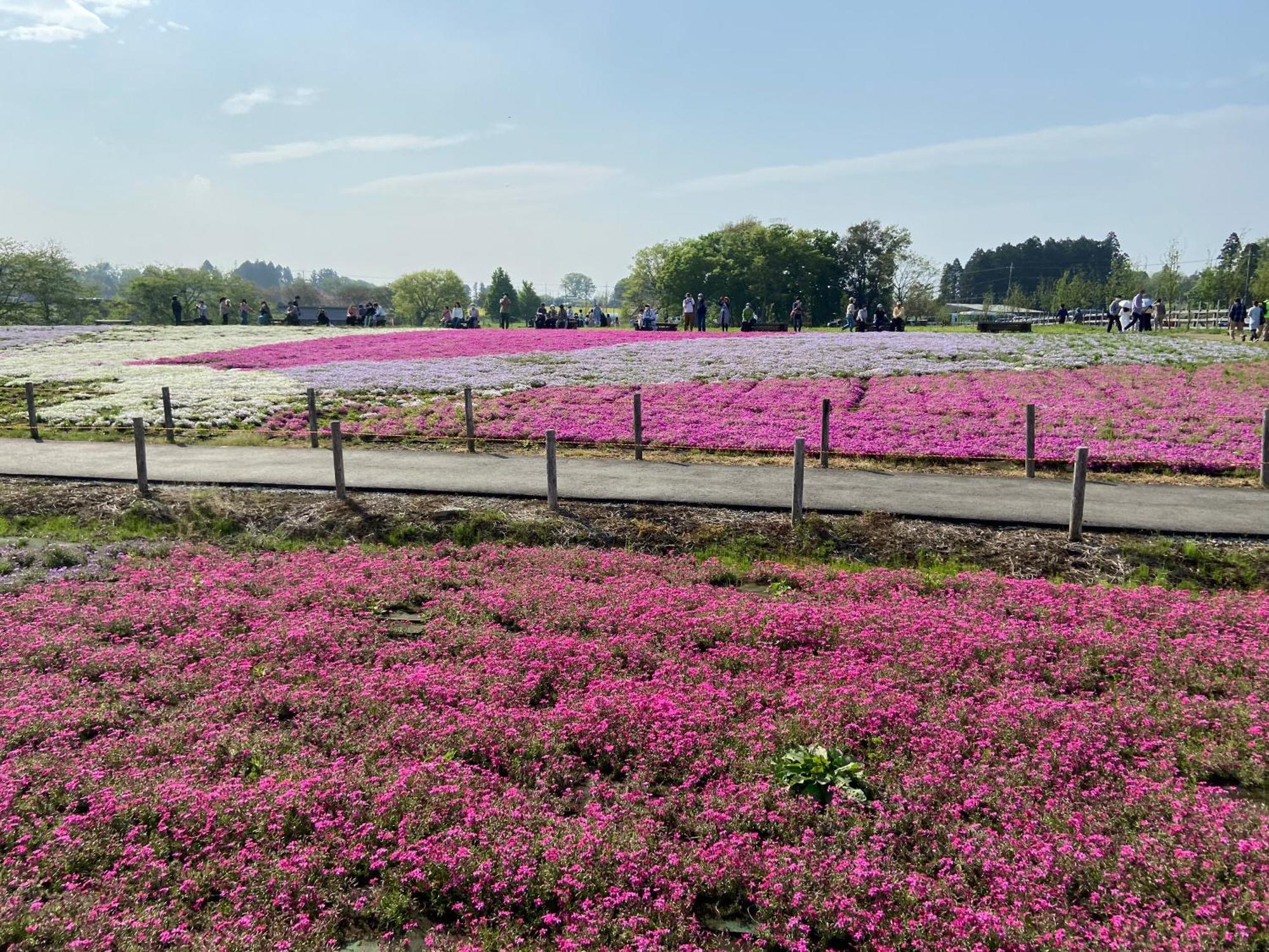 Vessel Inn Keisei Tsudanuma Station Narashino Exteriér fotografie